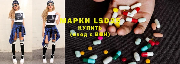 гидра Кодинск