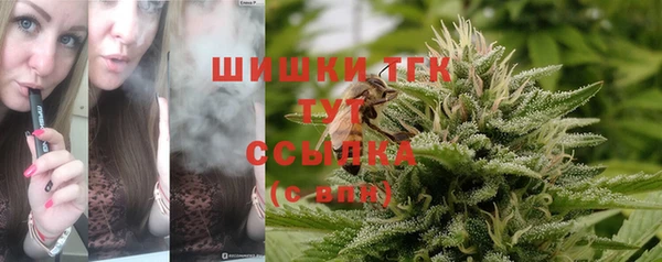 jwh Алзамай