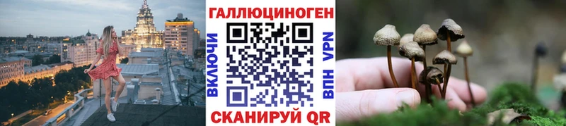 Галлюциногенные грибы GOLDEN TEACHER  купить   Кизел 